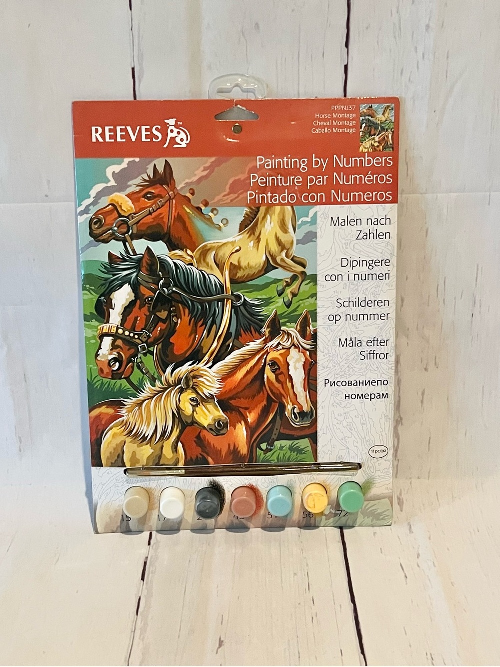 Reeves Junior Paint by Numbers Kit Horse Montage New Art Set Activity for Kids